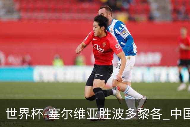世界杯-塞尔维亚胜波多黎各 中国仍存出线可能