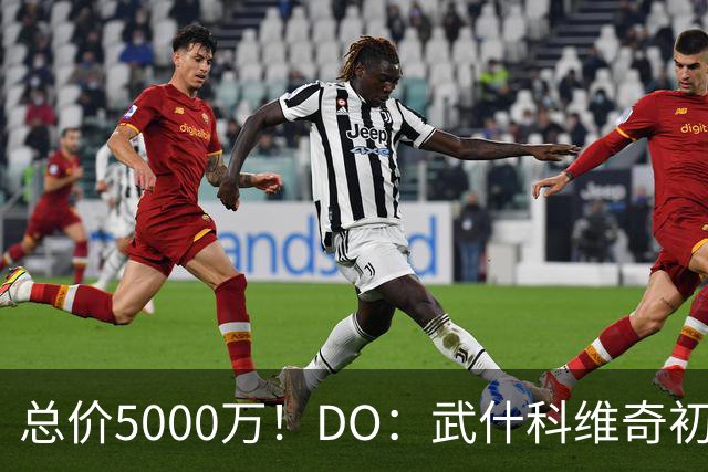 总价5000万！DO：武什科维奇初始转会费4600万镑，热刺有二转分成